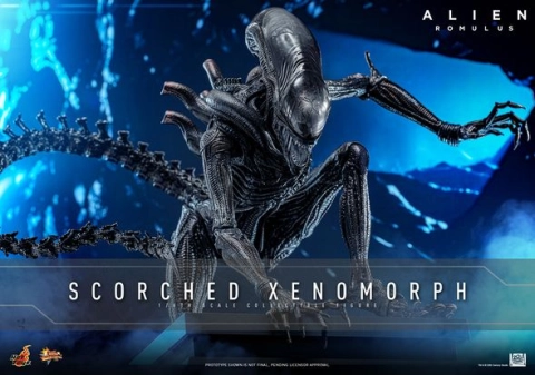 Alien: Romulus MMS784 Scorched Xenomorph 1/6th Scale Collectible Figur by Hot Toys
