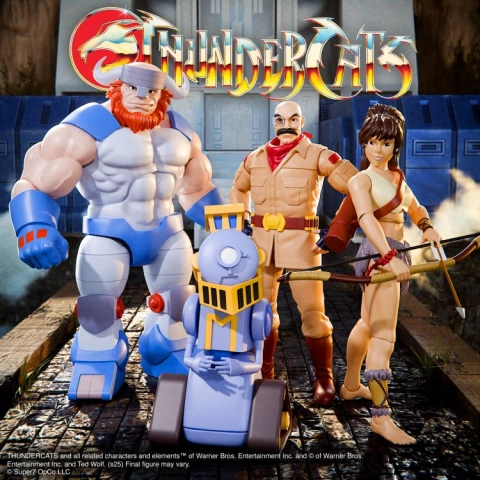 ThunderCats ULTIMATES! Wave 12 Action Figure by Super7